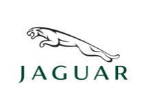 Jaguar modelsi and brend məlumatı logo