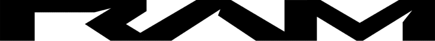 Ram modelsi and brend məlumatı logo